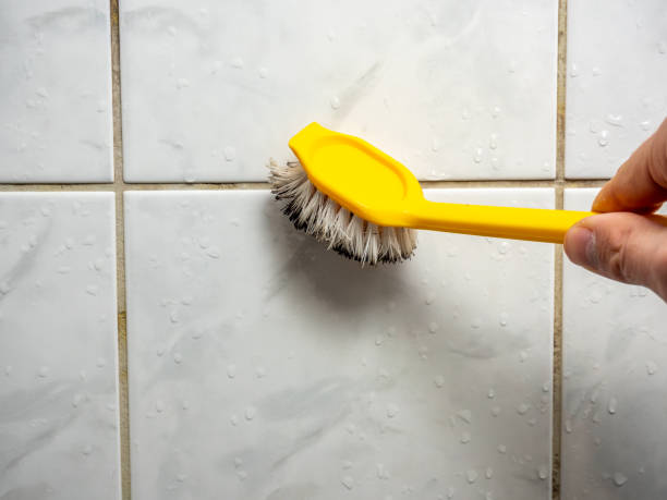Best Fast Mold Removal  in Converse, TX