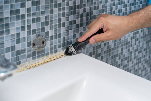 Best Mold Testing  in Converse, TX